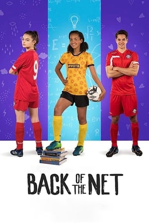 Back of the Net (2019) Hindi Dual Audio 480p Web-DL 300MB - Movierulz