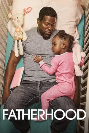 Fatherhood (2021) Hindi Dual Audio 720p WebRip [1GB] - Movierulz