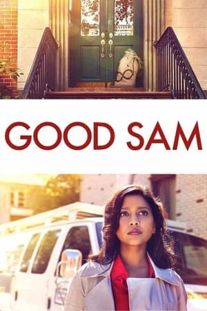 Good Sam 2019 Hindi Dual Audio 720p Web-DL [820MB] - Movierulz