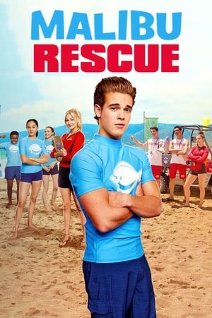 Malibu Rescue (2019) Hindi Dual Audio 480p HDRip 650MB - Movierulz