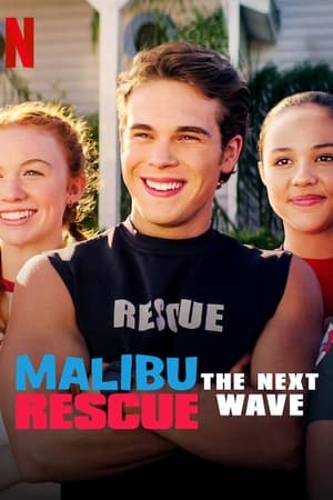 Malibu Rescue: The Next Wave (2020) Hindi Dual Audio 720p Web-DL [640MB] - Movierulz