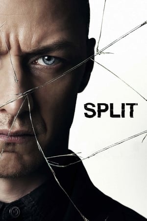 Split (2016) Hindi Dual Audio 720p BluRay [1GB] - Movierulz