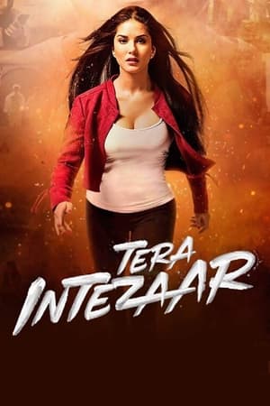 Tera Intezaar 2017 Movie 720p HDRip x264 [850MB] - Movierulz