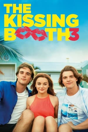The Kissing Booth 3 2021 Hindi Dual Audio 480p Web-DL 350MB - Movierulz