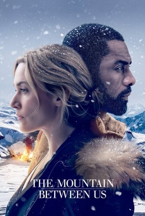 The Mountain Between Us 2017 Dual Audio Hindi 480p Bluray 350MB - Movierulz