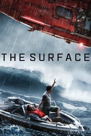 The Surface (2014) Hindi Dual Audio 720p Web-DL [800MB] - Movierulz
