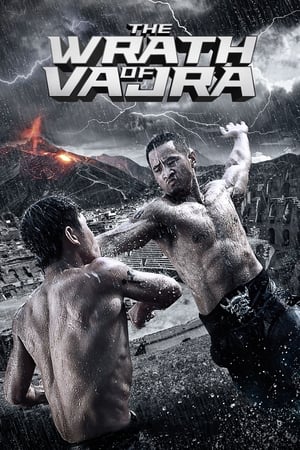 The Wrath of Vajra (2013) Hindi Dual Audio 720p BluRay [900MB] - Movierulz
